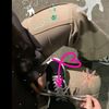 .lex.ie12_