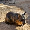 abeautifaldaydownunder