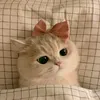 tffny000