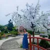 tm.xun64