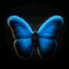 .ilham_20