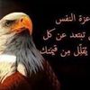 ali.khalifeh35