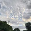 elish_26_