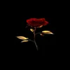 lorrys_kind