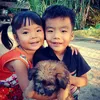 nuiphanvn