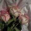 m_21.3.9