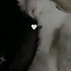 foxxx_01