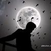 sharafatafridi6