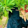 princearif3164