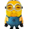 user4229253912229