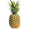 pineapple_.edit