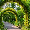 travelerz_