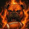 mardog2323