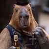 hopnrabidrabbit