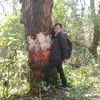 jhaggu.pandey