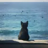 Doyaknowme?