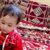 abo.elhamd1