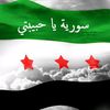 syrialove2030