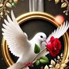 nezaketmehdiyeva_74