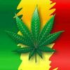 user5374128134656