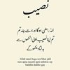 user8797216200953