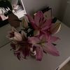 elli2_a