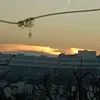 mhlf_3124