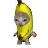 soy.manuel__