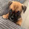 qwestiq2