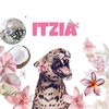itzi_._