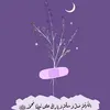 xxzz1231234