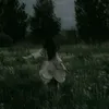 trangdon07
