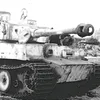 axel.25kingtiger