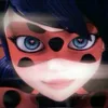 ladybug_ofc_