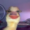 emdaoconggiao