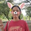 ennoveridasiregar