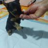 maritza.namuche6