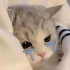 triu.ng87
