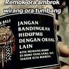 supar.lan75