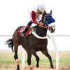 طلال ابن زماي🐎.