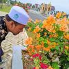 teungkumustafamms