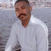 user441729603177