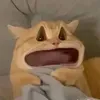nhactamtrang2h