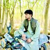 zamirjan03
