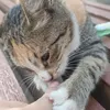 shulginchik_nik