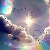 user6103857063134
