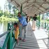 pandey..saroj