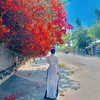 nhungoc8717