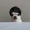 despacitopaquito