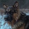 hawkpuppy333